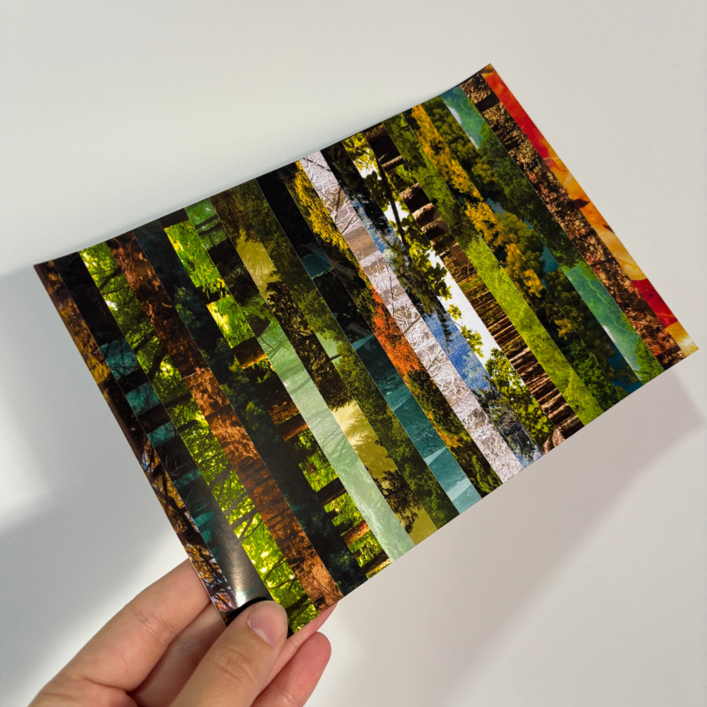 Sticker tipo washi - Bosque