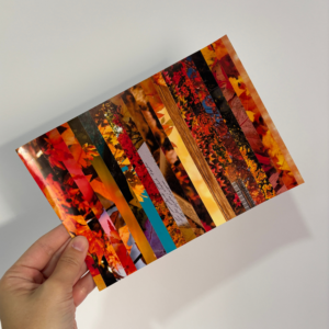 Sticker tipo Washi - Otoño